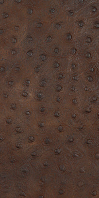 Embossed Leather: Brown Ostrich