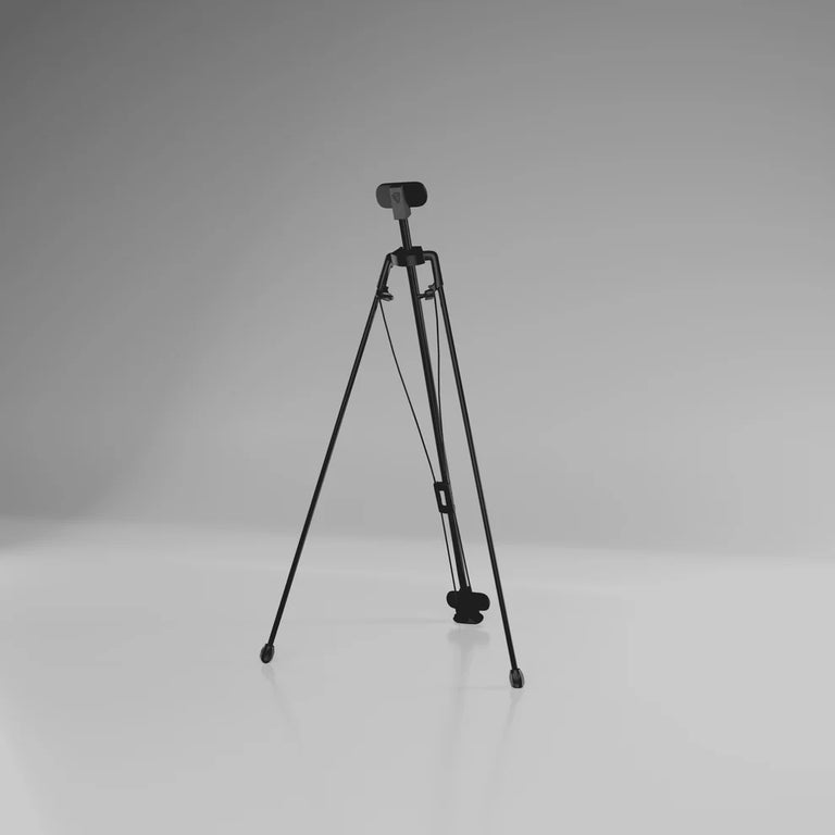 Cue Caddy Case Kick Stand