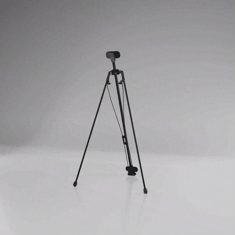 Cue Caddy Case Kick Stand