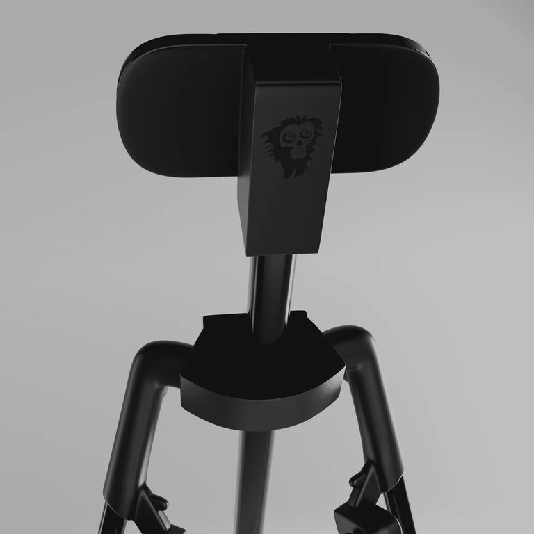 Cue Caddy Case Kick Stand