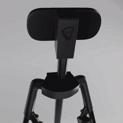 Cue Caddy Case Kick Stand