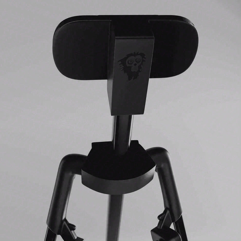 Cue Caddy Case Kick Stand