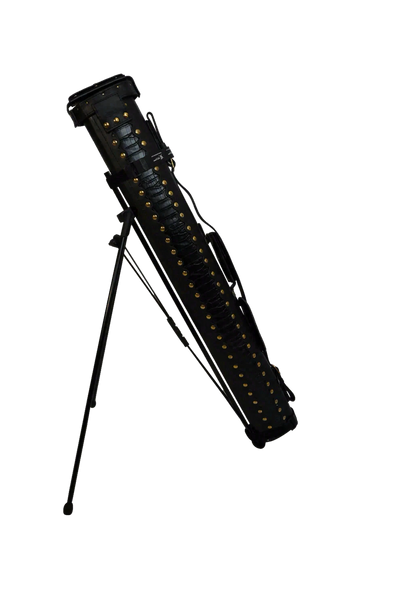 Cue Caddy Case Kick Stand