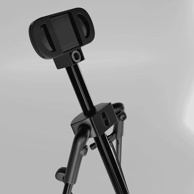 Cue Caddy Case Kick Stand