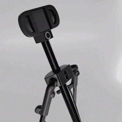 Cue Caddy Case Kick Stand