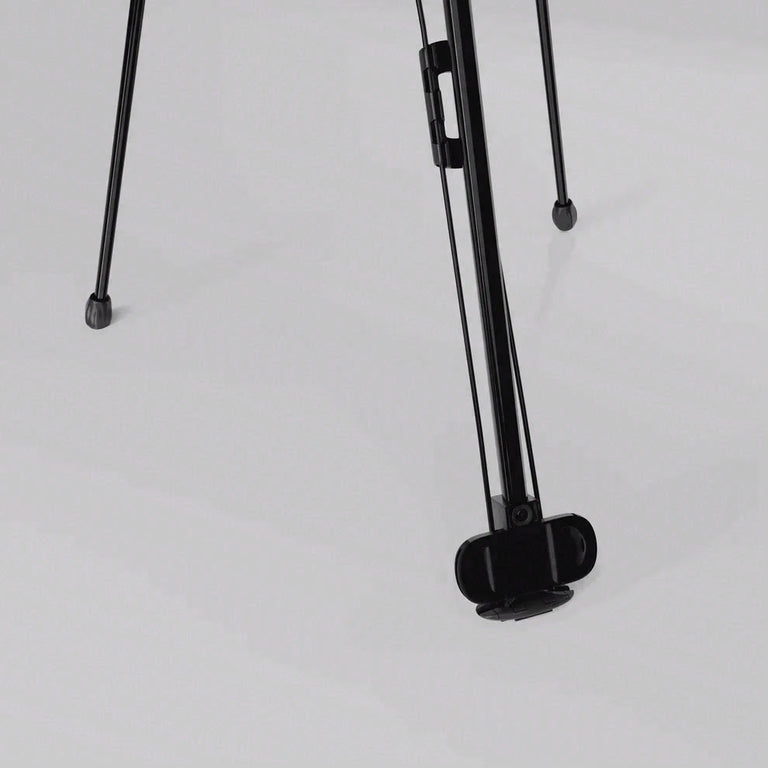Cue Caddy Case Kick Stand