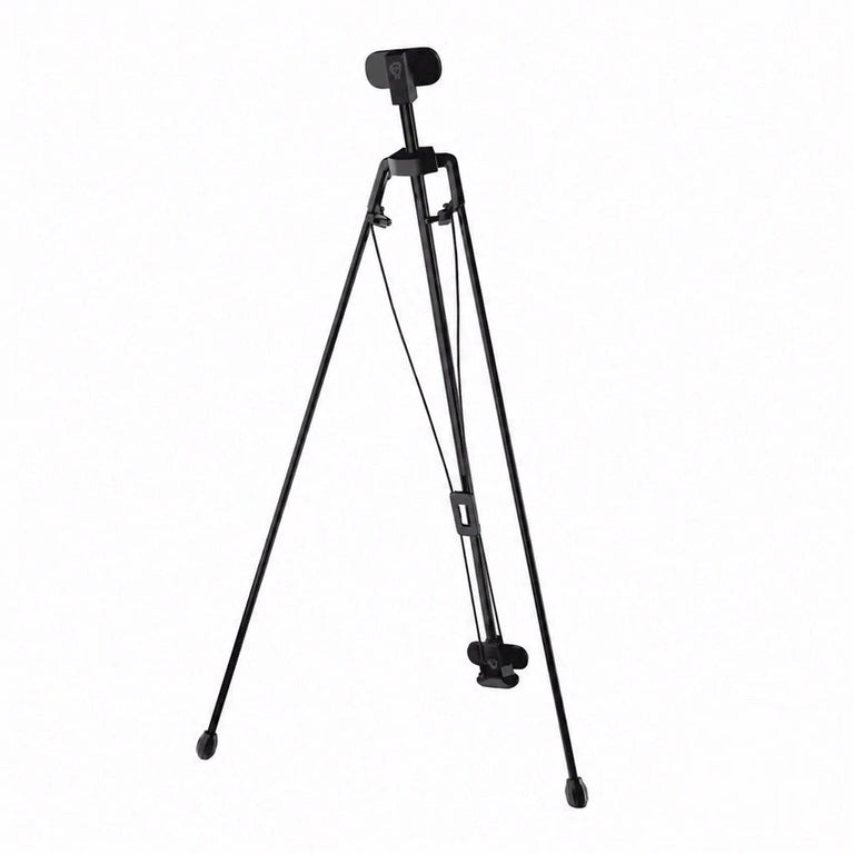 Cue Caddy Case Kick Stand
