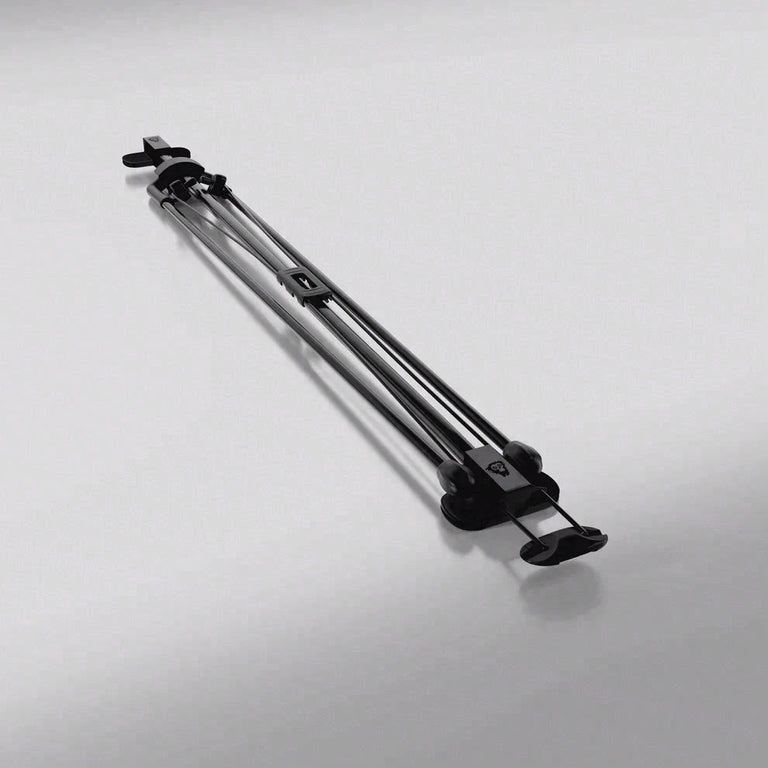 Cue Caddy Case Kick Stand