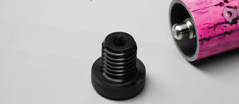 EVO Pirate Rose Raid No Wrap Pool Cue Maxbing Edition